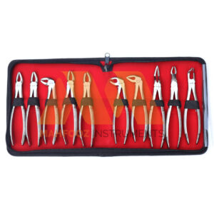 Dental Tooth Extraction Forceps 10 Pcs